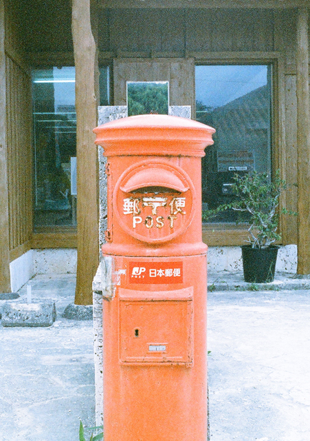 11550021.jpg