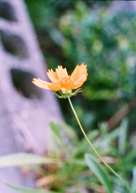 11560048.jpg